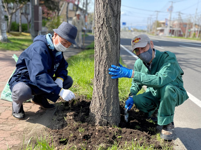 2023年　厚別通りの花苗植栽